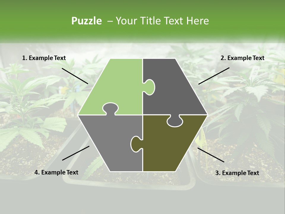 Part Home Heat PowerPoint Template