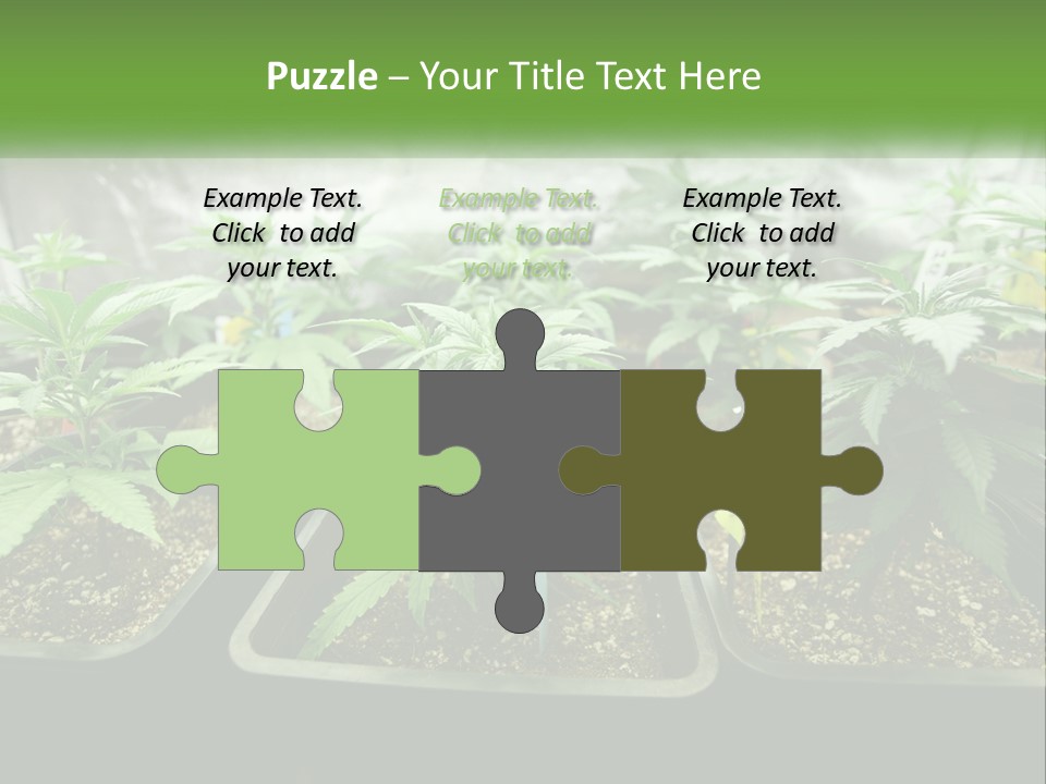 Part Home Heat PowerPoint Template