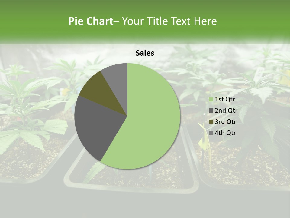 Part Home Heat PowerPoint Template