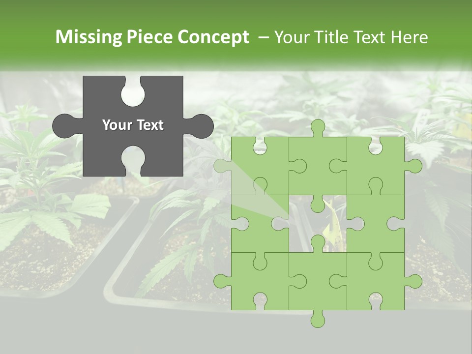 Part Home Heat PowerPoint Template