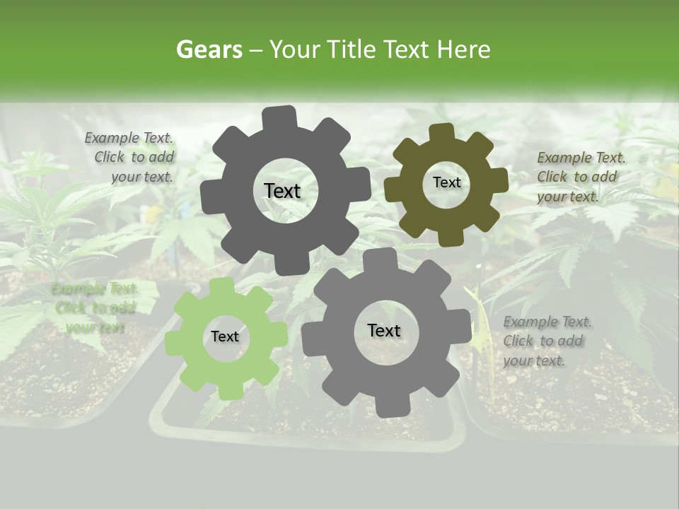 Part Home Heat PowerPoint Template