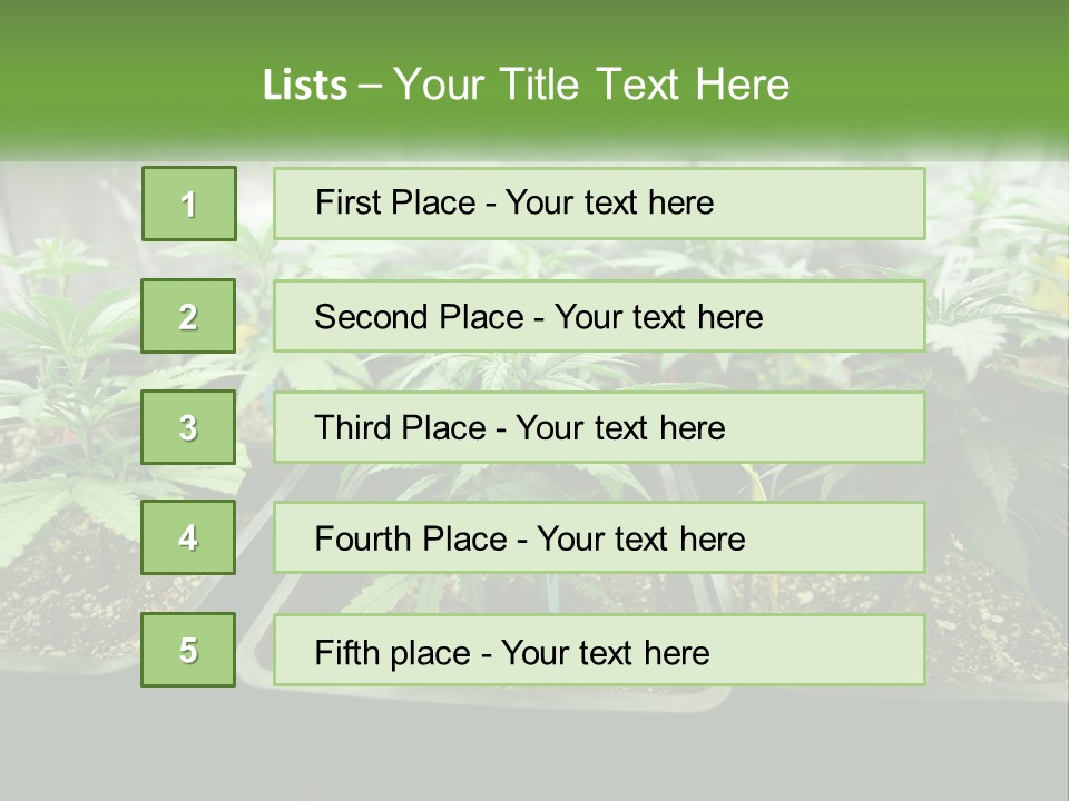 Part Home Heat PowerPoint Template