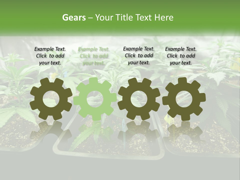 Part Home Heat PowerPoint Template