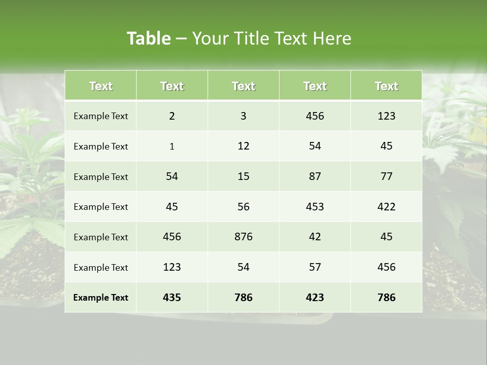 Part Home Heat PowerPoint Template