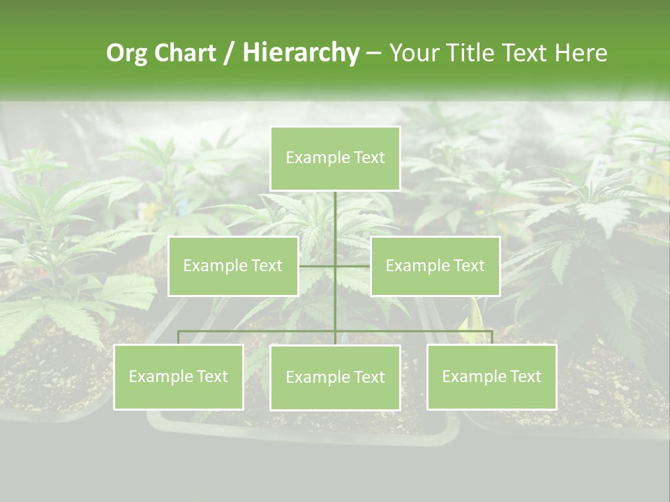 Part Home Heat PowerPoint Template