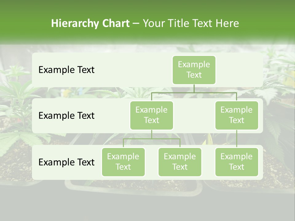 Part Home Heat PowerPoint Template