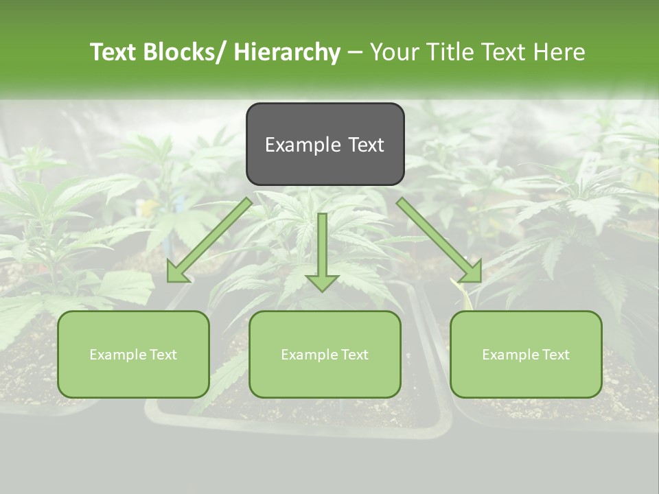 Part Home Heat PowerPoint Template