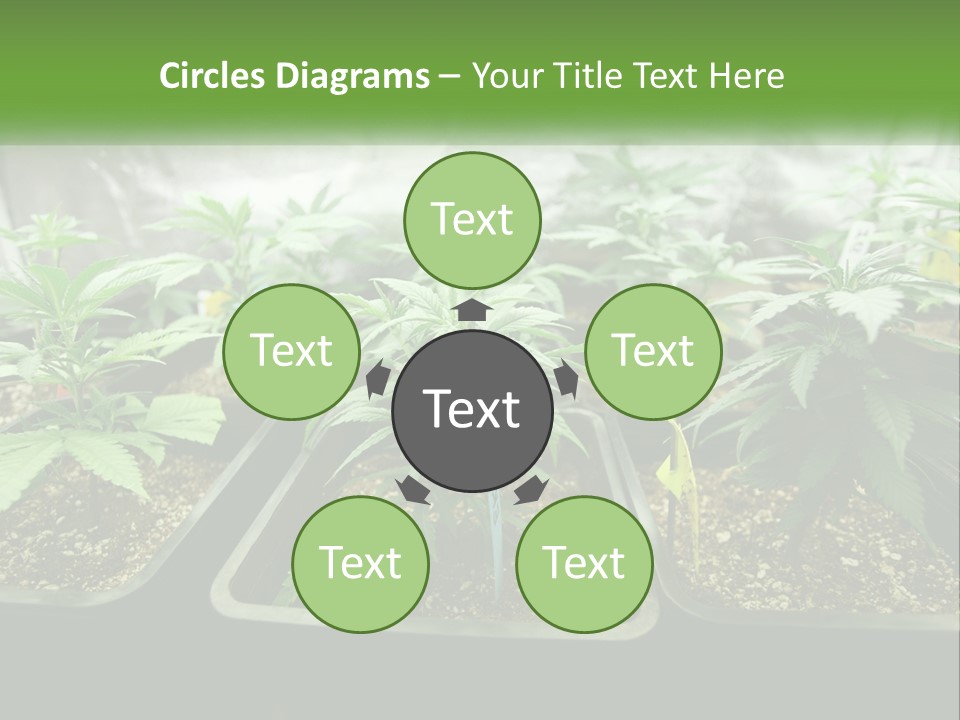 Part Home Heat PowerPoint Template