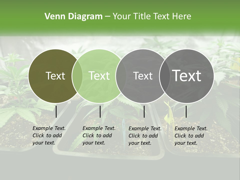 Part Home Heat PowerPoint Template