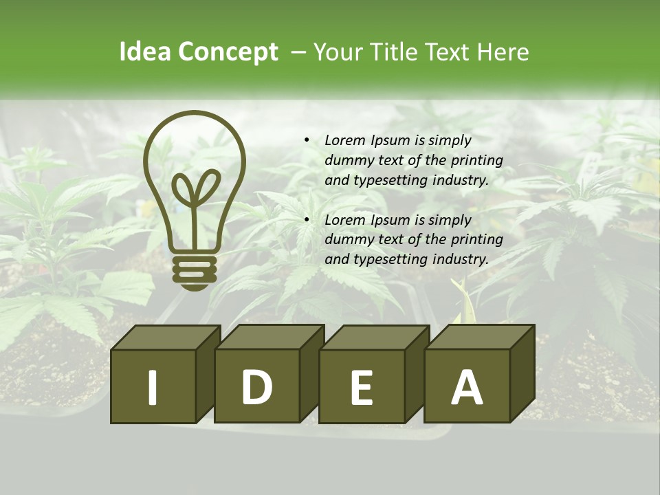 Part Home Heat PowerPoint Template