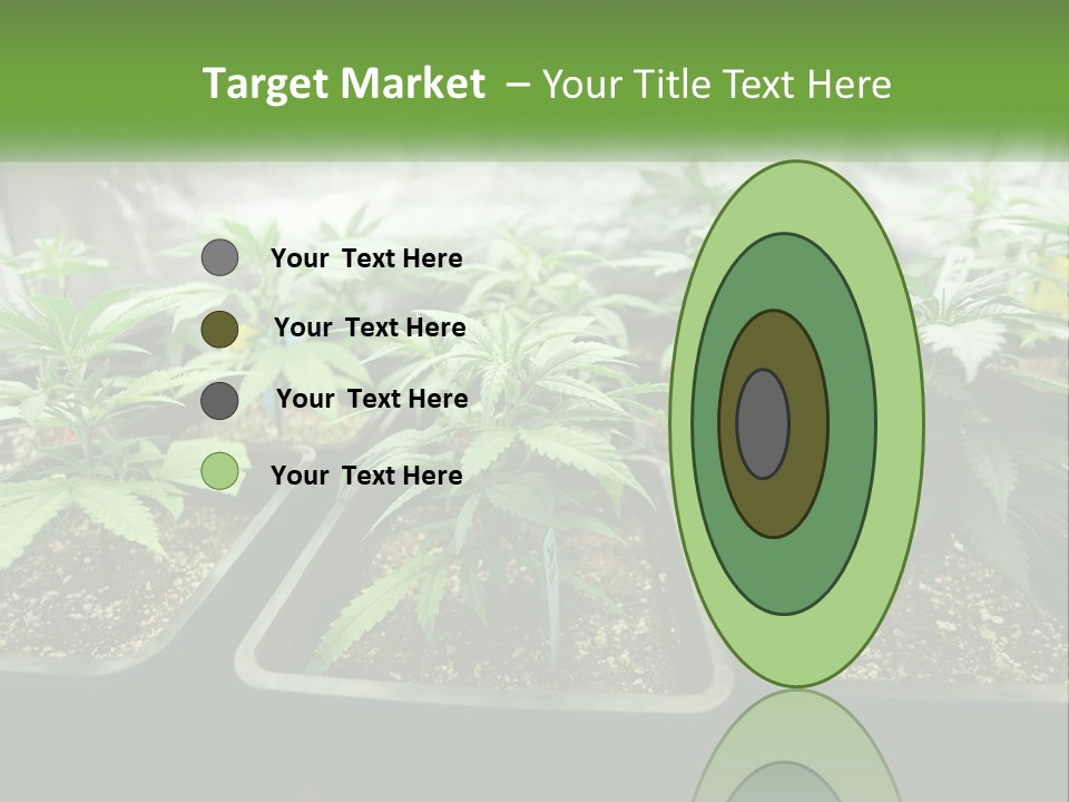 Part Home Heat PowerPoint Template