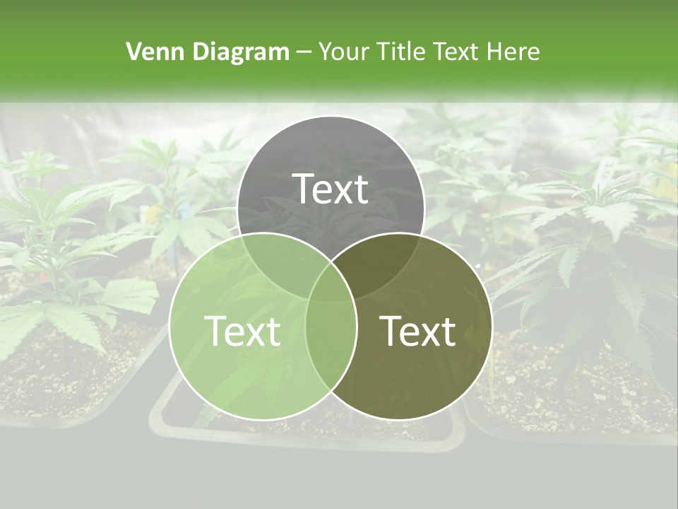 Part Home Heat PowerPoint Template