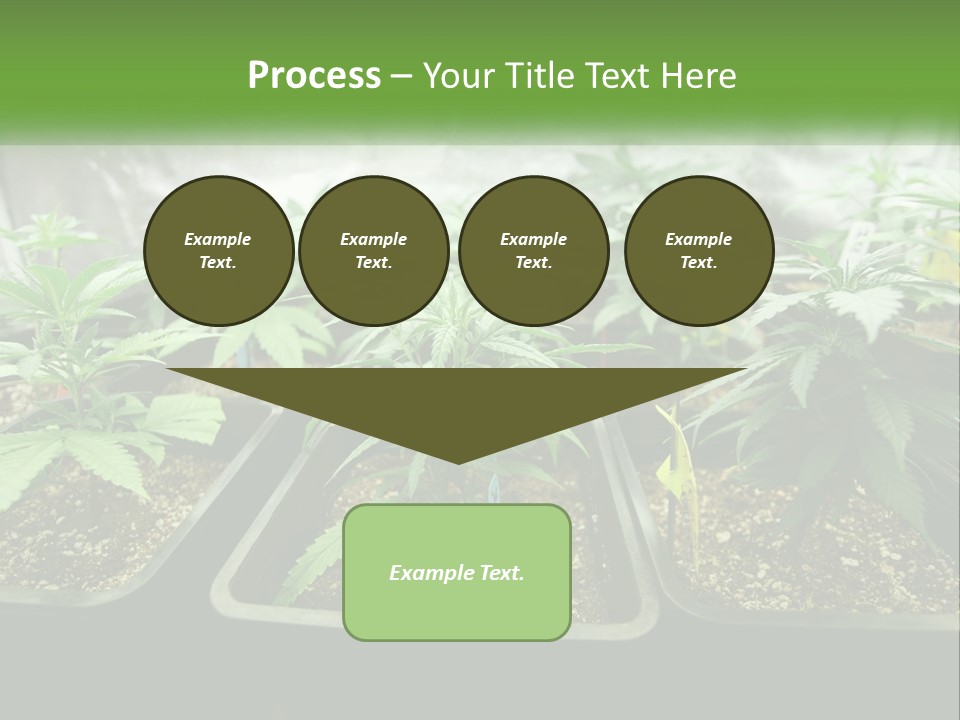 Part Home Heat PowerPoint Template