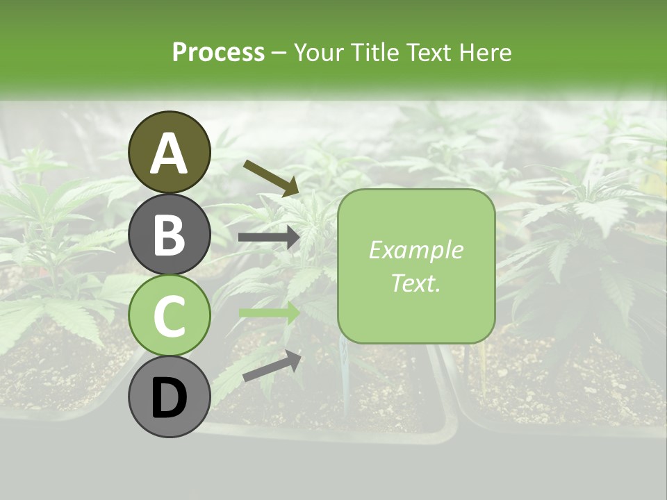 Part Home Heat PowerPoint Template