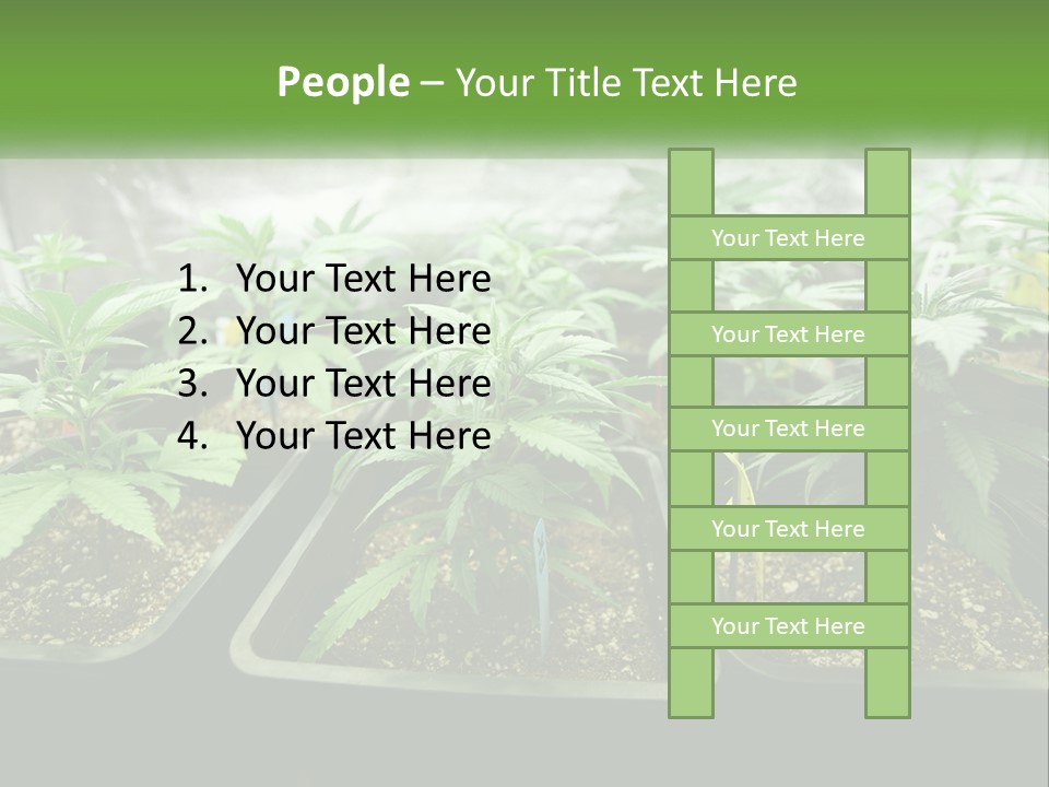 Part Home Heat PowerPoint Template