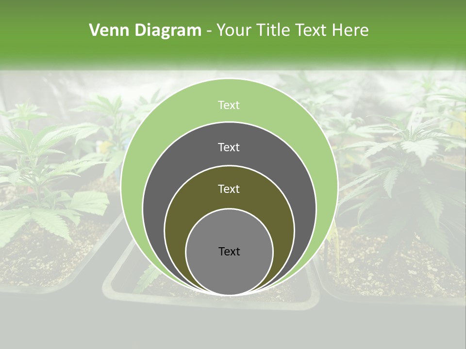 Part Home Heat PowerPoint Template