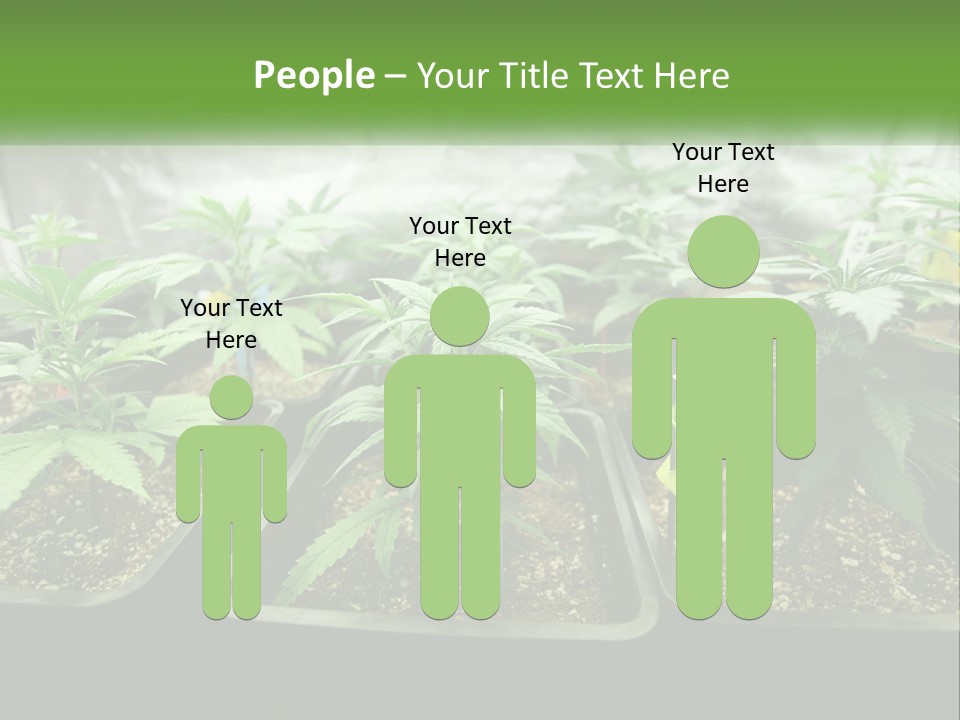 Part Home Heat PowerPoint Template