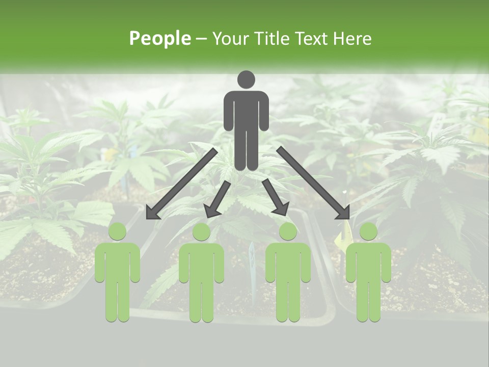 Part Home Heat PowerPoint Template