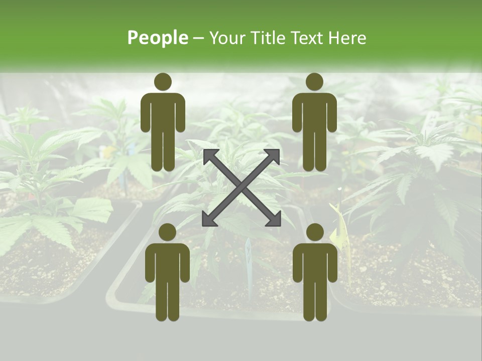 Part Home Heat PowerPoint Template