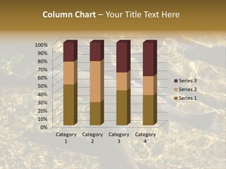 Remote Cold Supply PowerPoint Template