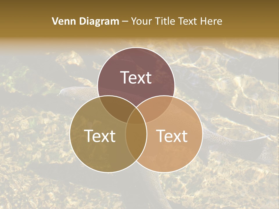 Remote Cold Supply PowerPoint Template
