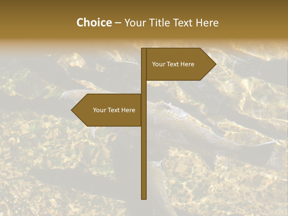 Remote Cold Supply PowerPoint Template