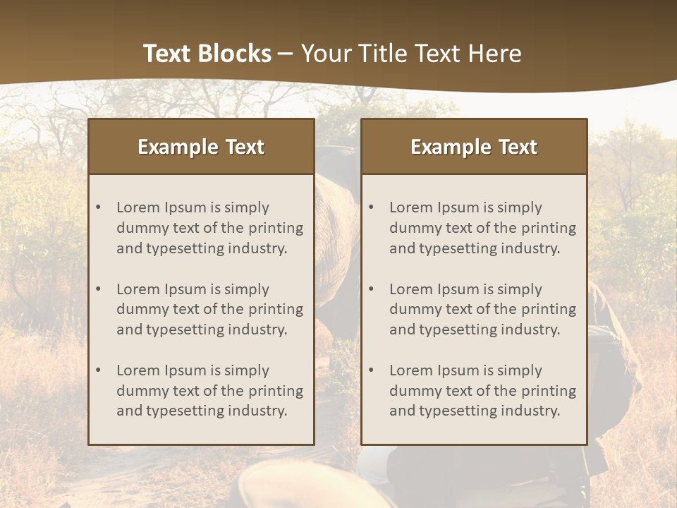 Conditioner Condition Electric PowerPoint Template