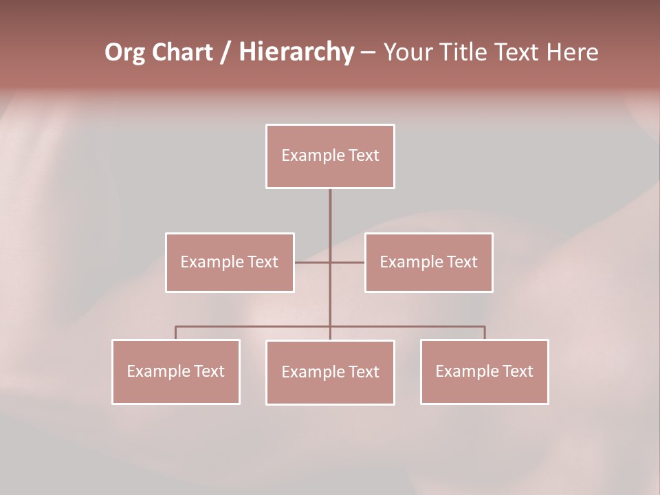 System Switch House PowerPoint Template