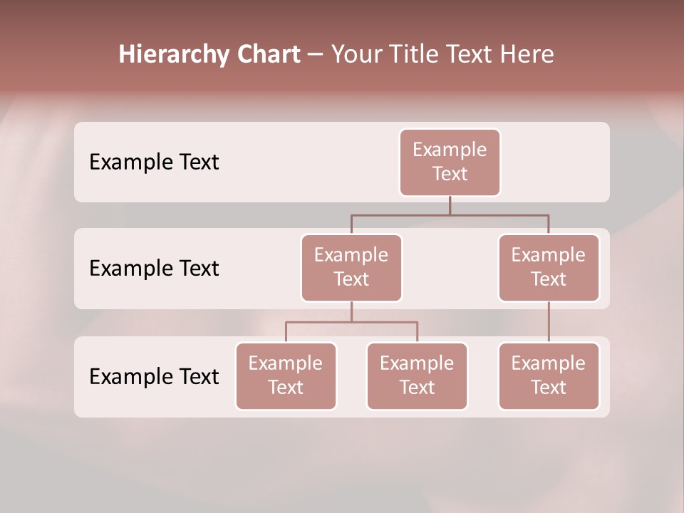 System Switch House PowerPoint Template