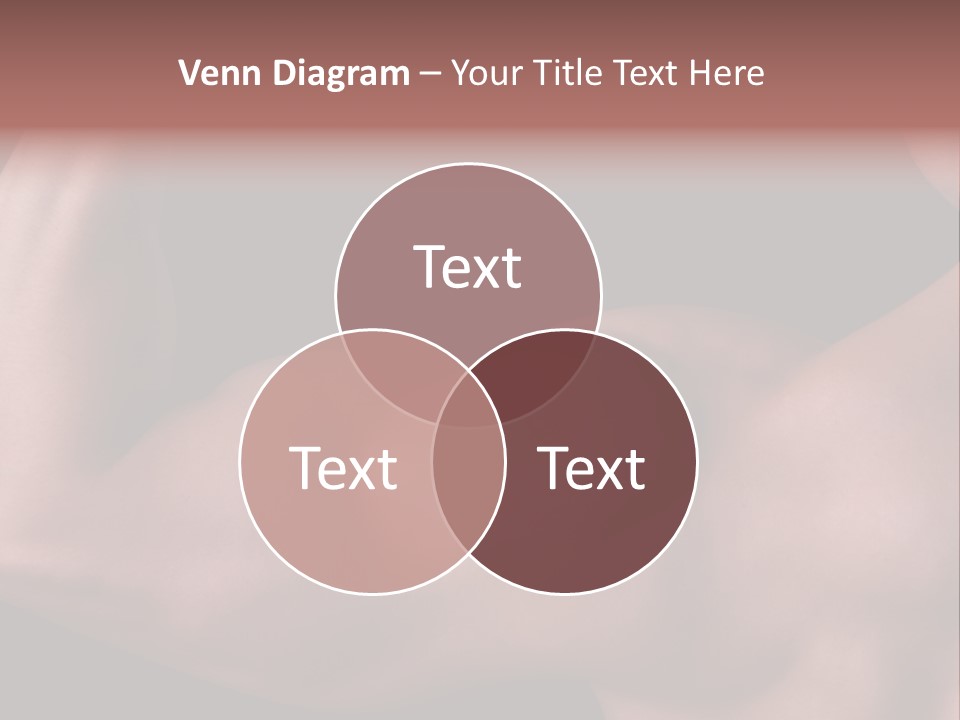 System Switch House PowerPoint Template