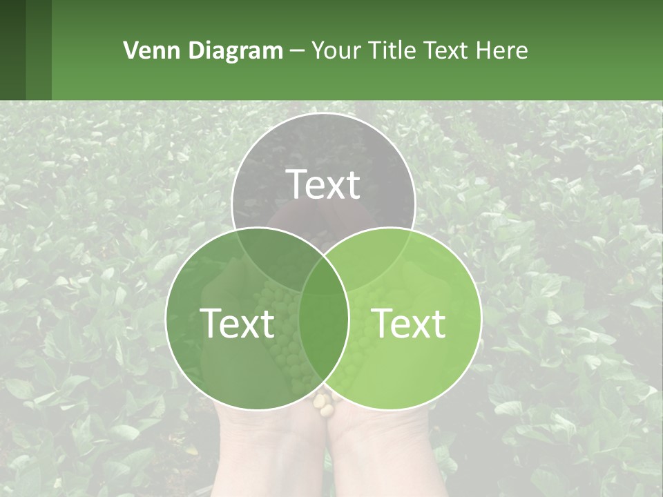 Ventilation Condition Conditioner PowerPoint Template