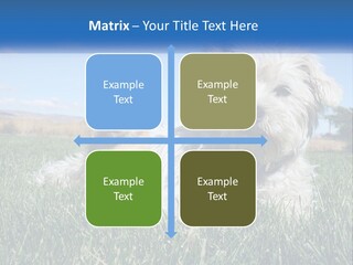 Power Conditioner Electric PowerPoint Template