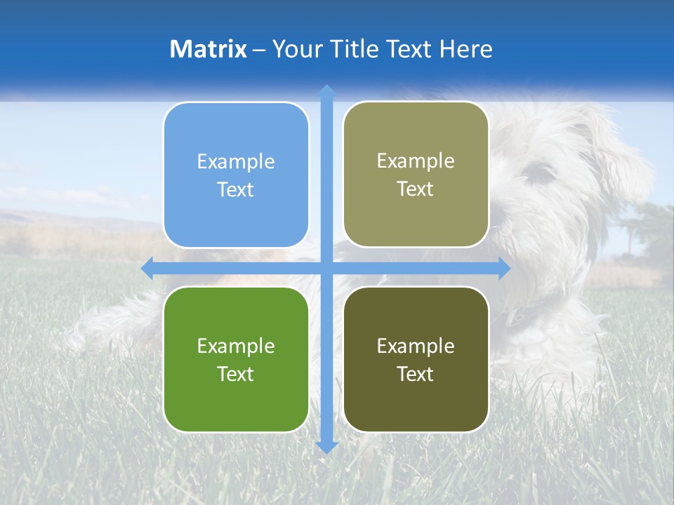Power Conditioner Electric PowerPoint Template