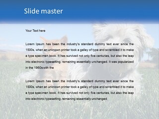 Power Conditioner Electric PowerPoint Template