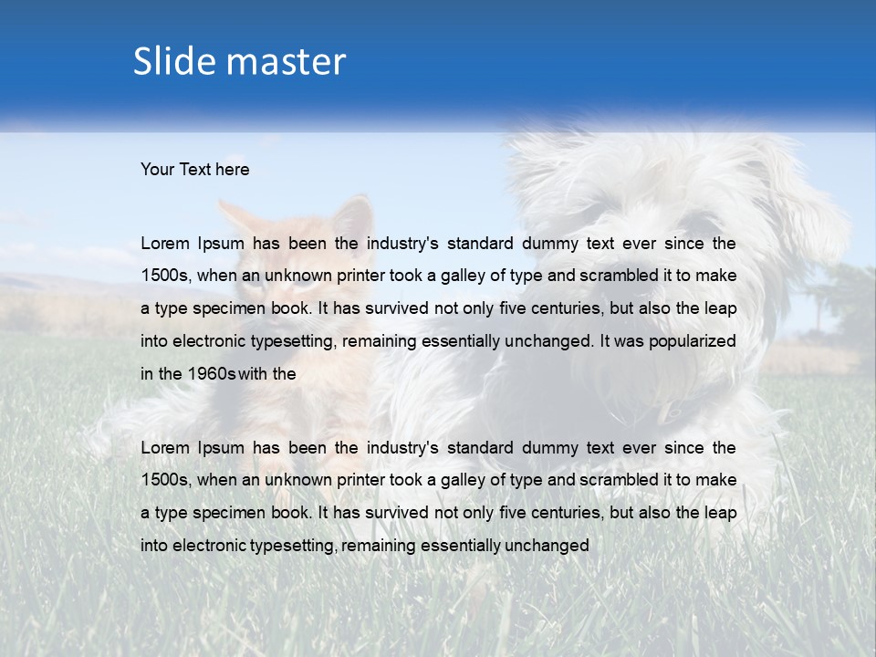Power Conditioner Electric PowerPoint Template