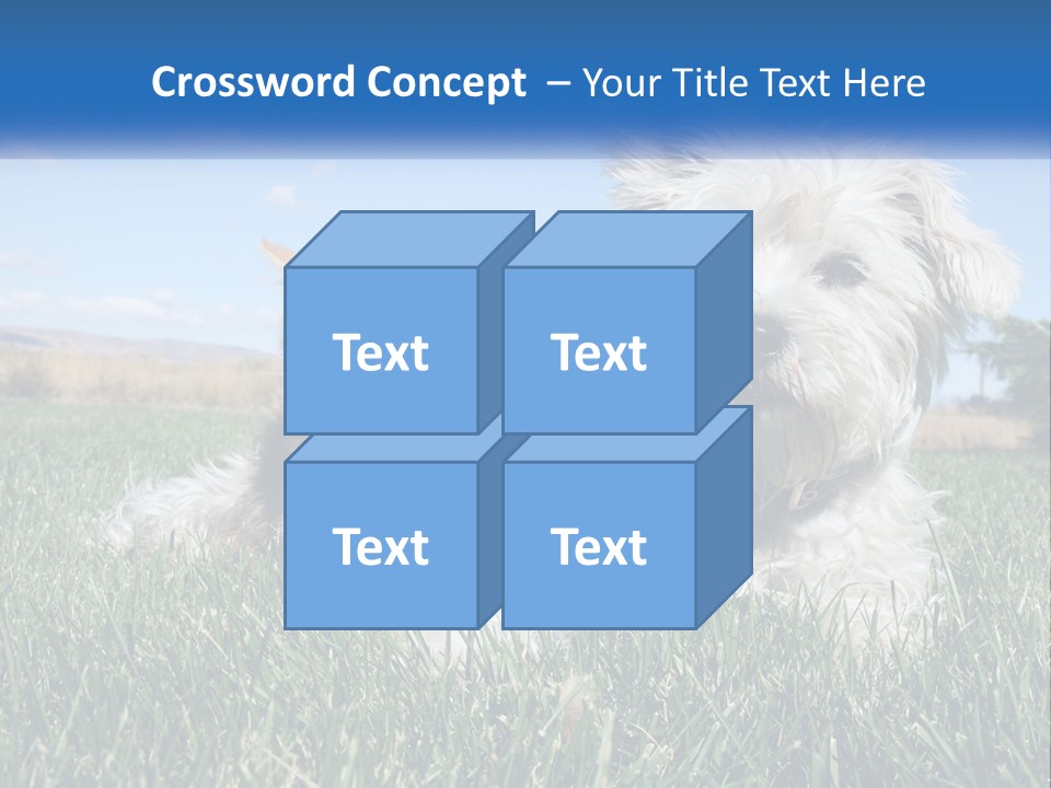 Power Conditioner Electric PowerPoint Template