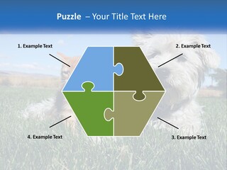 Power Conditioner Electric PowerPoint Template