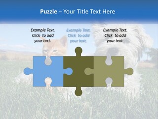 Power Conditioner Electric PowerPoint Template