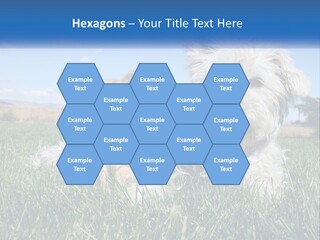 Power Conditioner Electric PowerPoint Template