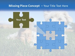 Power Conditioner Electric PowerPoint Template