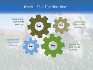 Power Conditioner Electric PowerPoint Template