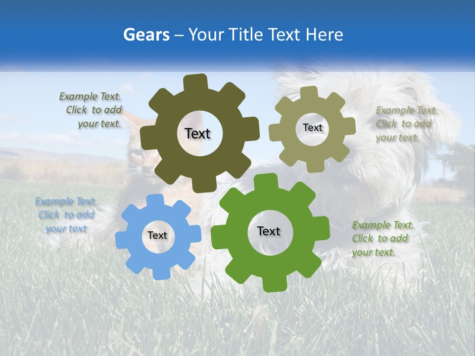 Power Conditioner Electric PowerPoint Template