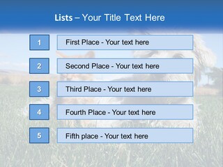 Power Conditioner Electric PowerPoint Template