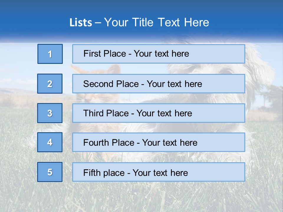 Power Conditioner Electric PowerPoint Template