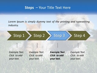 Power Conditioner Electric PowerPoint Template