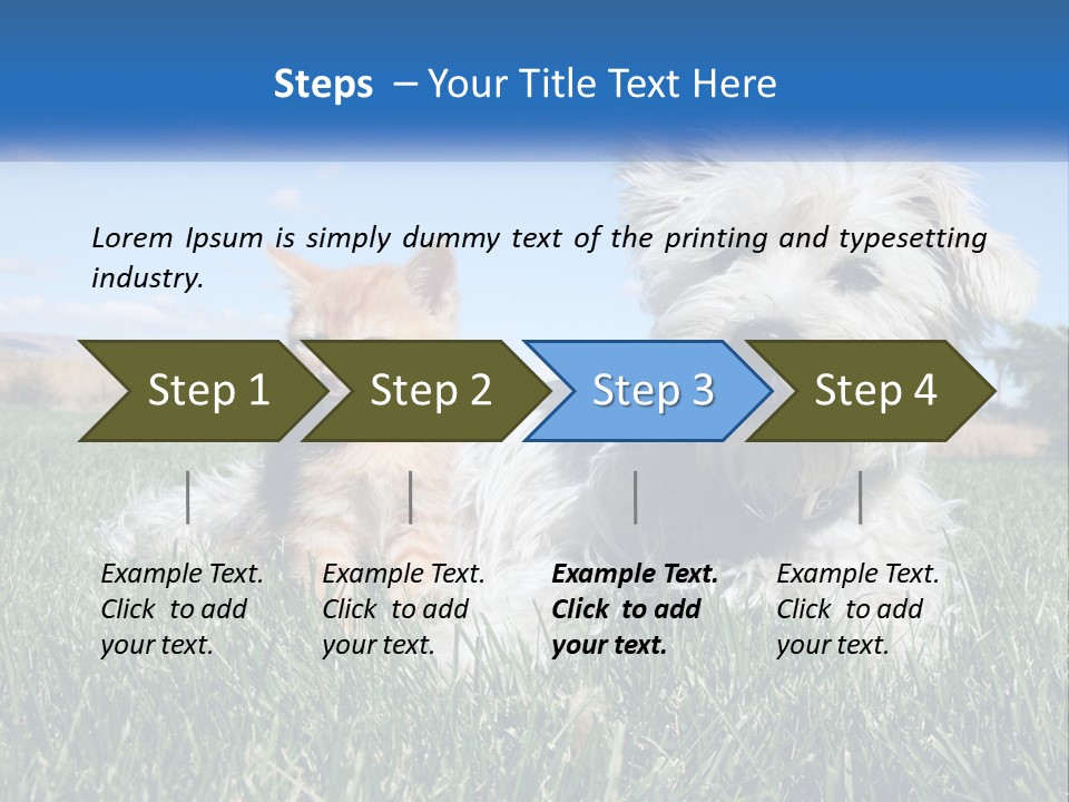 Power Conditioner Electric PowerPoint Template