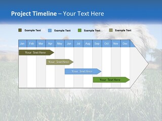 Power Conditioner Electric PowerPoint Template