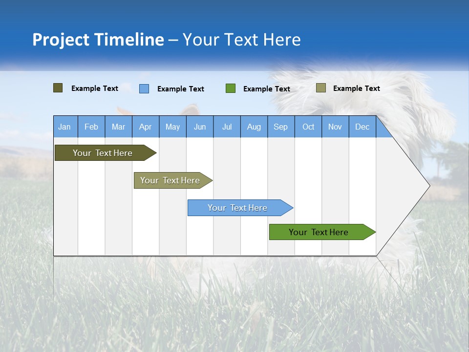 Power Conditioner Electric PowerPoint Template