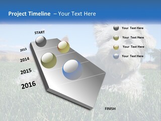 Power Conditioner Electric PowerPoint Template
