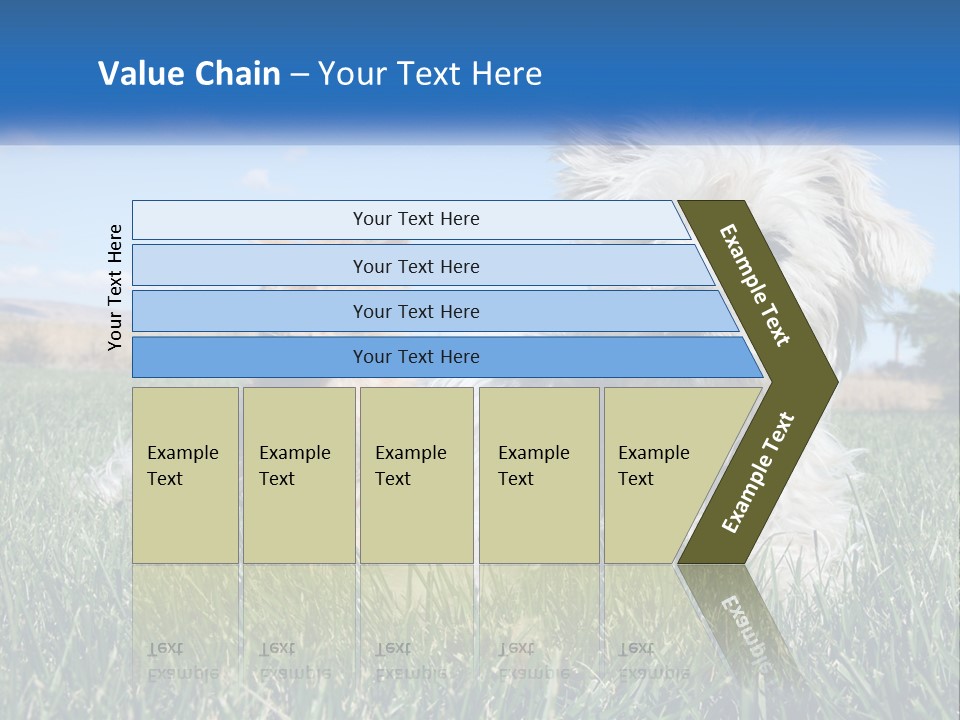 Power Conditioner Electric PowerPoint Template